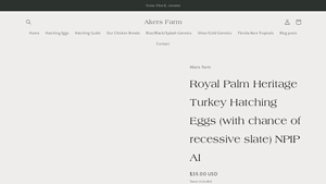 Akers Farm - Royal Palm Heritage Turkey Hatching Eggs