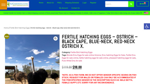 Az Gardens - Fertile Hatching Eggs