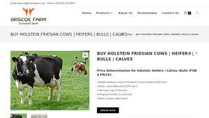 Briscoe Farm - Holstein Cattle