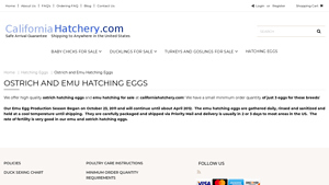 California Hatchery - Ostrich and Emu Hatching Eggs