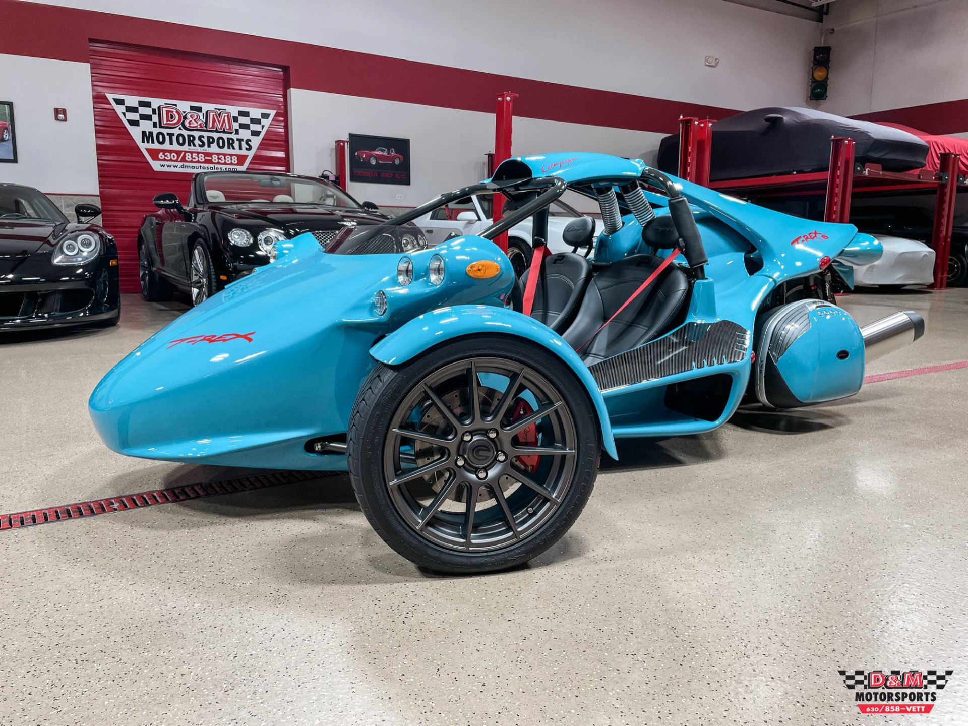 A stock image illustrating campagna t rex price concepts