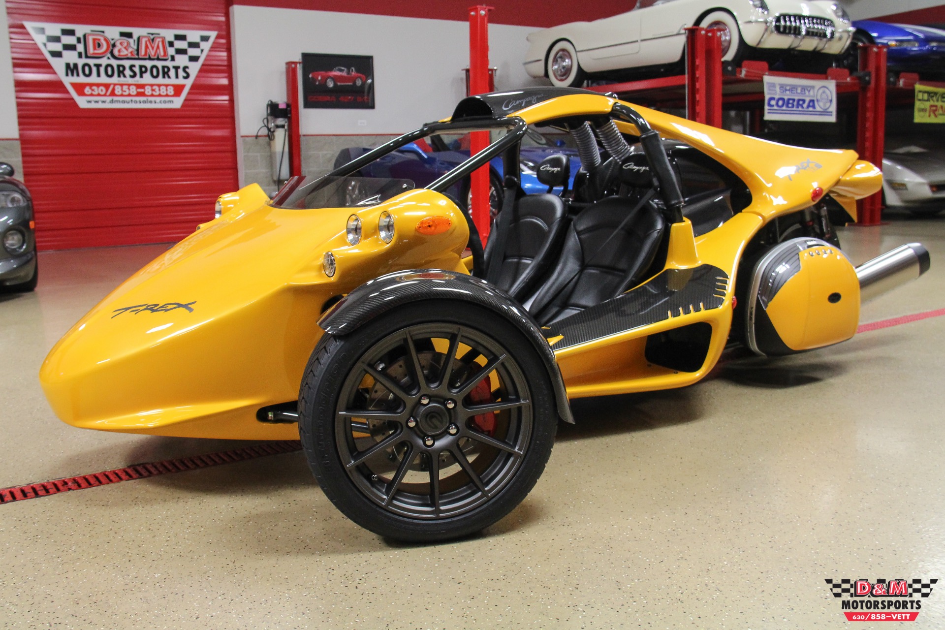A stock image illustrating campagna t rex price concepts
