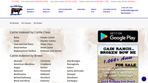 CattleRange - Cattle for Sale