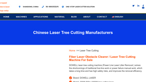 DOWELL LASER - 300W/500W Laser System