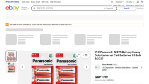 Panasonic - D R20 Heavy Duty Batteries