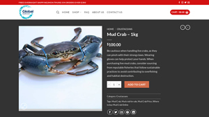 Global Seafood Supply - Mud Crab