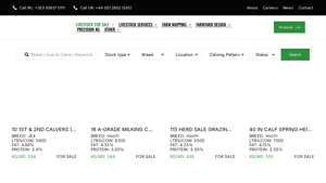 GrassTec Group - Premium Dairy Cattle for Sale