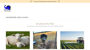 Gum Creek Emus - Incubation Supplies
