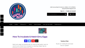 Gypsy Shoals Farm - Essential Hatching Supplies