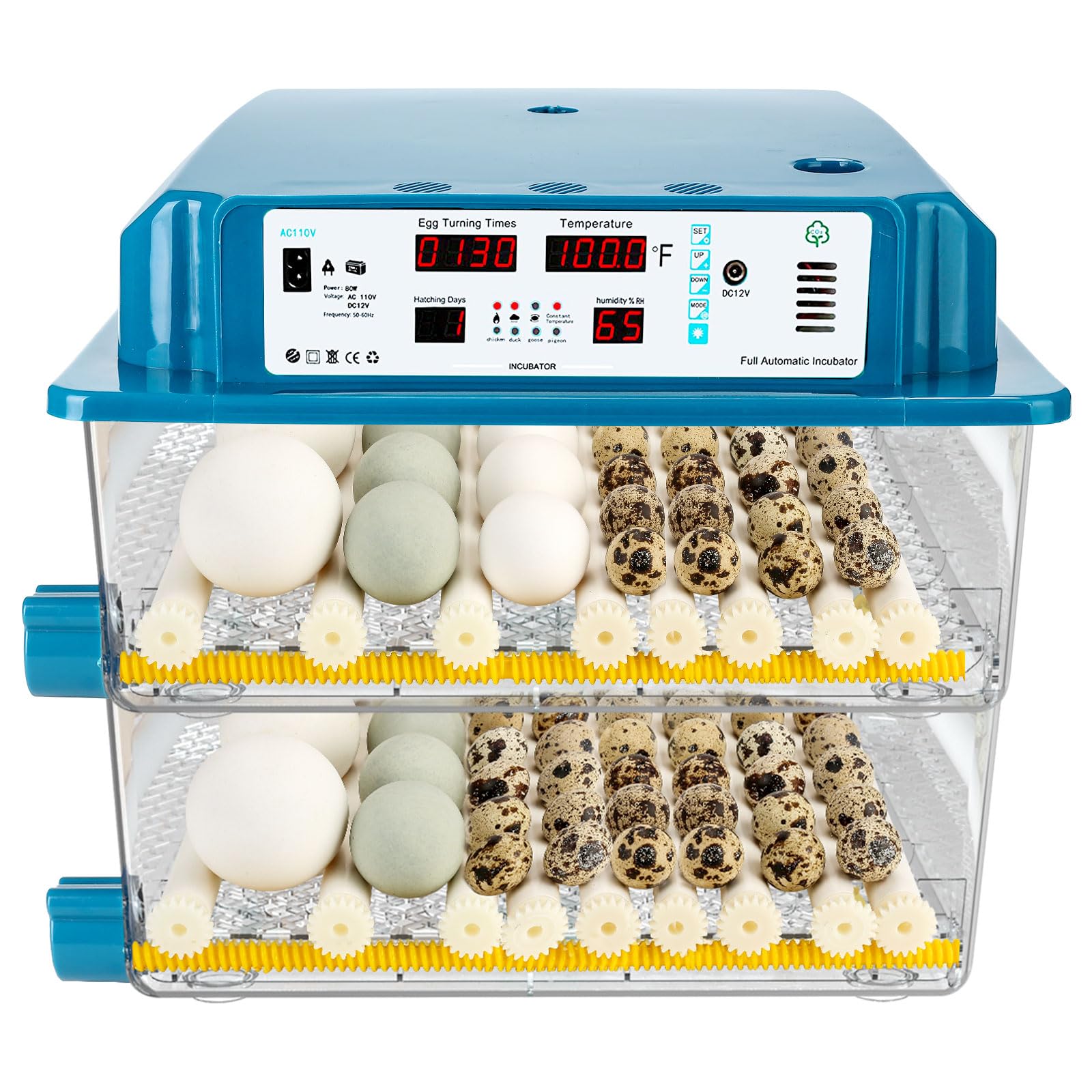 A stock image illustrating incubators for sale near me concepts