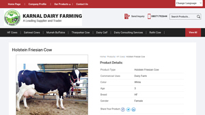 Karnal Dairy Farming - Holstein Friesian Cow