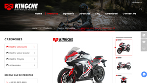 KingChe - Adult Electric Motorcycle RZ
