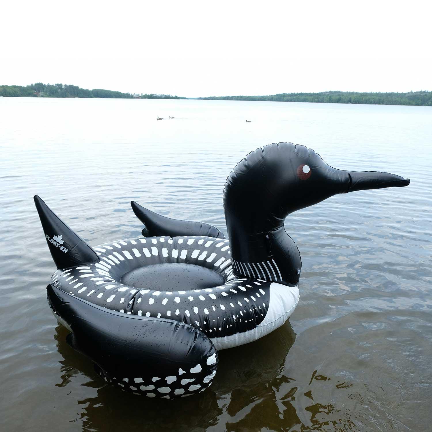 A stock image illustrating loon float concepts