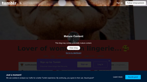 Lingerie Enthusiast - Community Hub