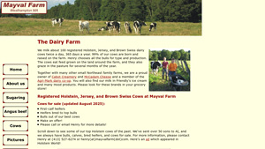 Mayval Farm - Registered Dairy Cows