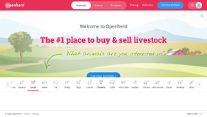 Openherd - Goats for Sale