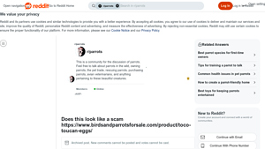 Toco Toucan - Eggs for Sale Concerns