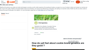 Cookies - Genetics Concerns