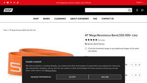 Serious Steel Fitness - 41 Mega Resistance Band