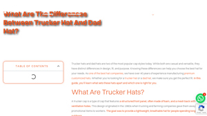 Superb Group - Trucker and Dad Hats
