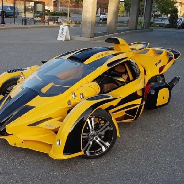 A stock image illustrating t rex aero 3s for sale concepts