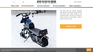 E-trace - Electric-Assist Snow Bike