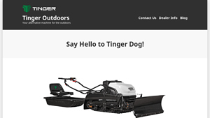Tinger - Dog Features and Innovations