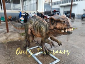 A stock image illustrating trex for sale concepts