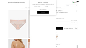 Alexander Wang - Pink Transparent Panties